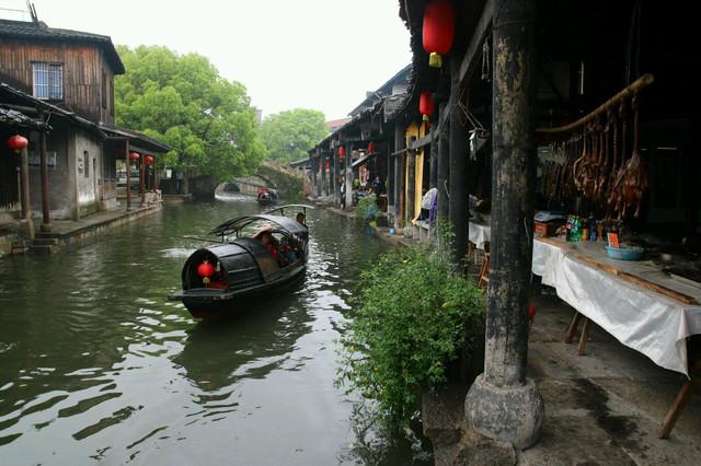 飞鸟兑换码游戏画面